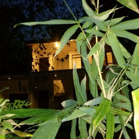 Green Earth Resort And Restaurant Dambulla Extérieur photo
